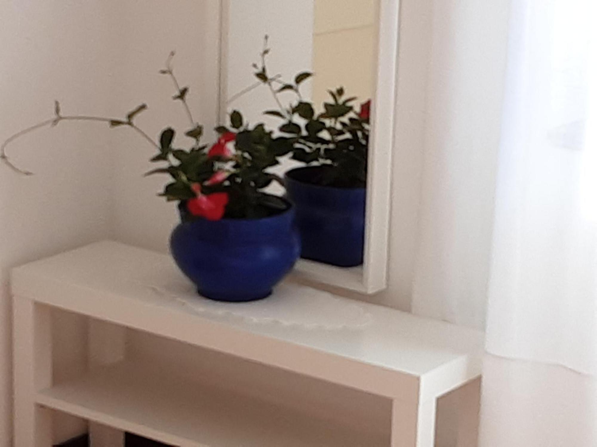 Apartman Legac Stari Grad Habitación foto